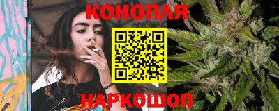 сатива Лесосибирск
