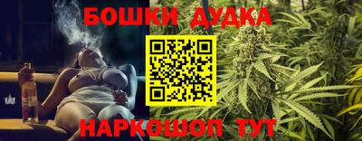 сатива Лесосибирск