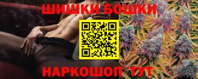 сатива Лесосибирск