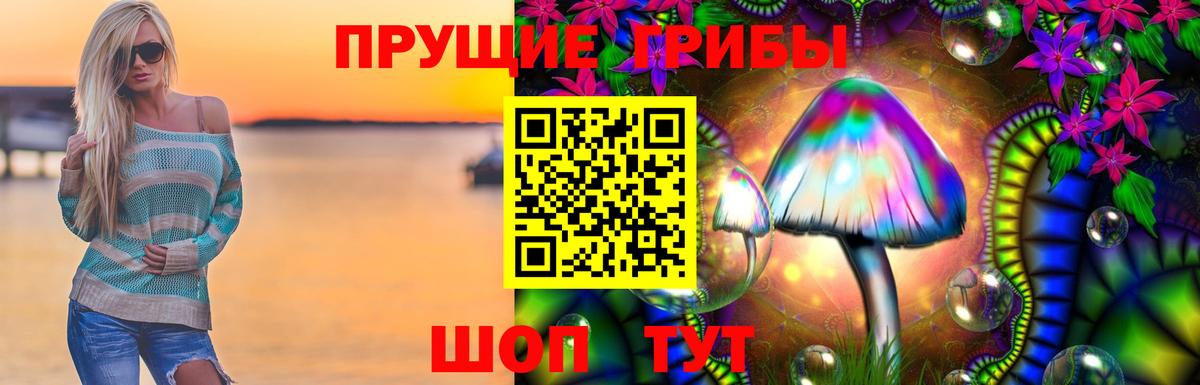 Галлюциногенные грибы GOLDEN TEACHER Дмитров